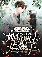 《总裁夫人她将前夫虐爆了》小说封面