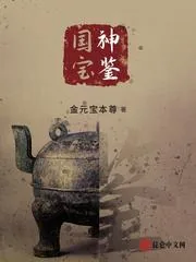 《国宝神鉴》小说封面