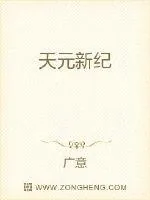 《天元新纪》小说封面