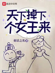 《天上掉下个女王来》小说封面