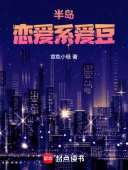 《半岛：恋爱系爱豆》小说封面
