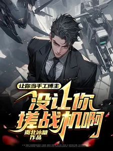 《让你当手工博主，没让你搓战机啊》小说封面