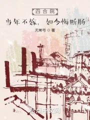 《四合院：当年不嫁，如今悔断肠》小说封面