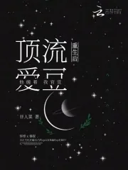 《重生后，顶流爱豆他缠着我官宣》小说封面