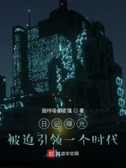 《日记曝光，被迫引领一个时代》小说封面