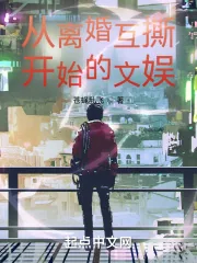 《从离婚互撕开始的文娱》小说封面