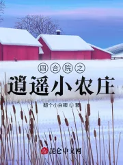 《四合院之逍遥小农庄》小说封面
