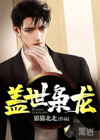 《盖世枭龙》小说封面