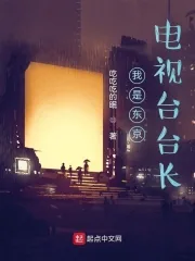 《我是东京电视台台长》小说封面