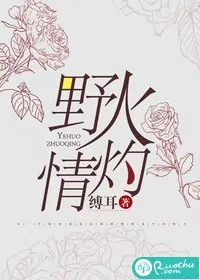 《野火灼情》小说封面