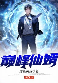 《巅峰仙婿》小说封面