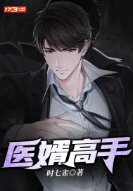 《医婿高手》小说封面