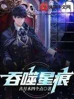 《吞噬星痕》小说封面