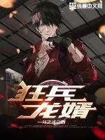 《狂兵龙婿》小说封面