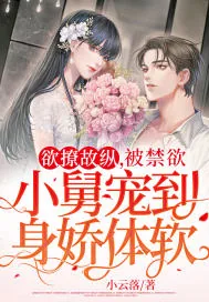 《欲撩故纵，被禁欲小舅宠到身娇体软》小说封面