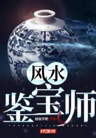 《风水鉴宝师》小说封面