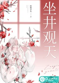 《坐井观天》小说封面