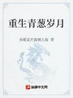 《重生青葱岁月》小说封面