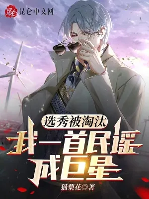 《选秀被淘汰，我一首民谣成巨星》小说封面