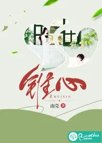《锥心》小说封面