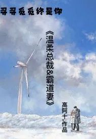 《温柔总裁霸道妻苏夏曲皓琛》小说封面