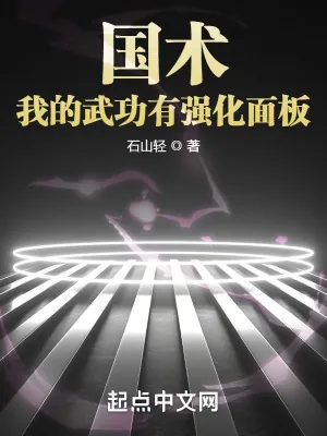 《国术！我的武功有强化面板》小说封面