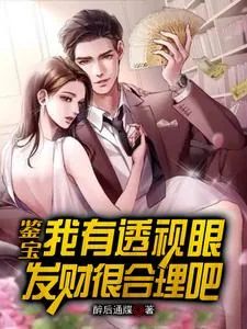 《鉴宝：我有透视眼，发财很合理吧》小说封面