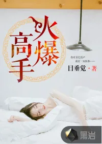《火爆高手》小说封面