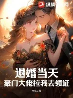 《退婚当天，豪门大佬拉我去领证》小说封面