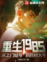 《重生1985,从上门姑爷到药材大亨》小说封面