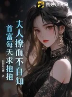 《夫人撩而不自知，首富每天求抱抱》小说封面