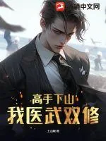 《高手下山：我医武双修》小说封面