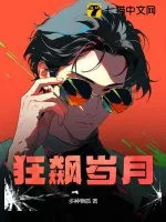 《狂飙岁月》小说封面