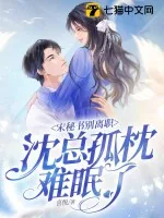 《宋秘书别离职，沈总孤枕难眠了》小说封面