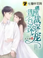 《名门闪婚：腹黑总裁深深宠》小说封面
