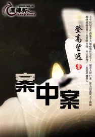 《案中案》小说封面