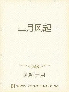 《三月风起》小说封面