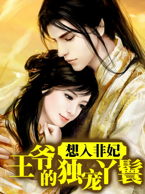 《想入非妃:王爷的独宠丫鬟》小说封面