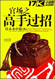 《官场之高手过招》小说封面