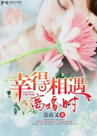 《幸得相遇离婚时》小说封面