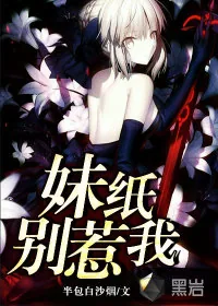 《妹纸，别惹我》小说封面