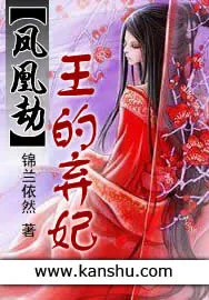 《凤凰劫：王的弃妃》小说封面