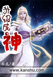 《升级成神》小说封面