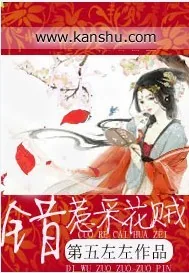 《错惹采花贼》小说封面