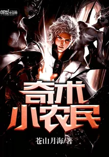 《奇术小农民》小说封面