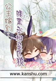 《公主嫁到:腹黑丞相是匹狼》小说封面