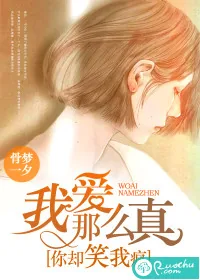 《我爱那么真，你却笑我疯》小说封面