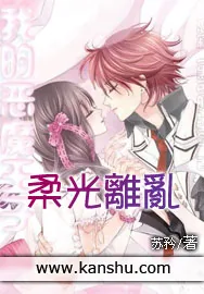 《柔光离乱》小说封面