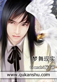 《梦舞现实》小说封面