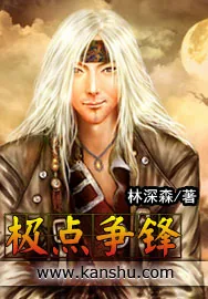 《极点争锋》小说封面